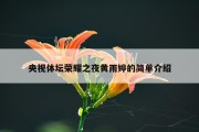 央视体坛荣耀之夜黄雨婷的简单介绍