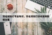 羽毛球双打专业知识，羽毛球双打技术视频教程全集