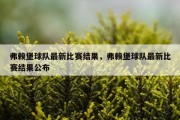 弗赖堡球队最新比赛结果，弗赖堡球队最新比赛结果公布