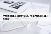 中华木绣球斗球养护知识，中华木绣球斗球开几季花