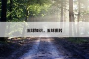 玉球知识，玉球图片