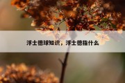 浮士德球知识，浮士德指什么