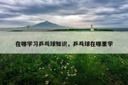 在哪学习乒乓球知识，乒乓球在哪里学