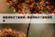 橄榄球知识了解视频，橄榄球知识了解视频教学