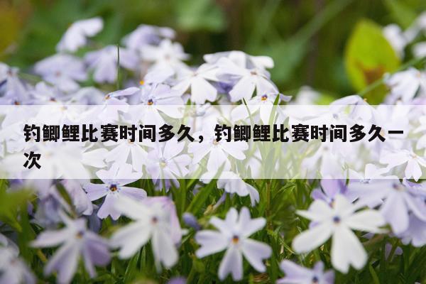 钓鲫鲤比赛时间多久,钓鲫鲤比赛时间多久一次