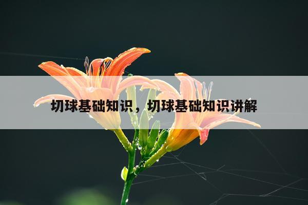 切球基础知识,切球基础知识讲解