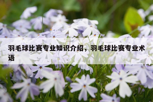 羽毛球比赛专业知识介绍,羽毛球比赛专业术语