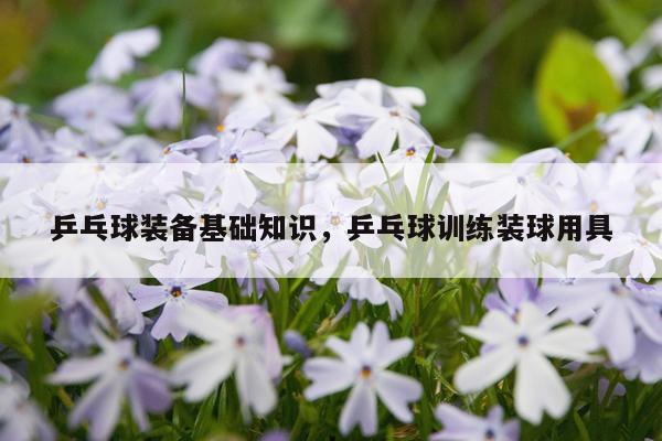 乒乓球装备基础知识,乒乓球训练装球用具