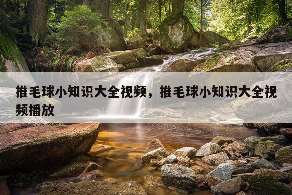 推毛球小知识大全视频,推毛球小知识大全视频播放
