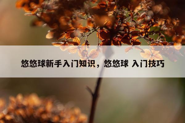 悠悠球新手入门知识,悠悠球 入门技巧