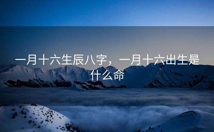一月十六生辰八字，一月十六出生是什么命
