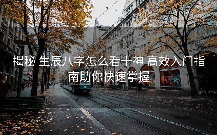 揭秘 生辰八字怎么看十神 高效入门指南助你快速掌握
