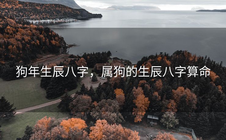 狗年生辰八字，属狗的生辰八字算命