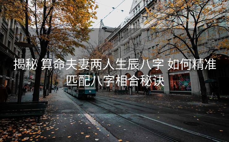 揭秘 算命夫妻两人生辰八字 如何精准匹配八字相合秘诀