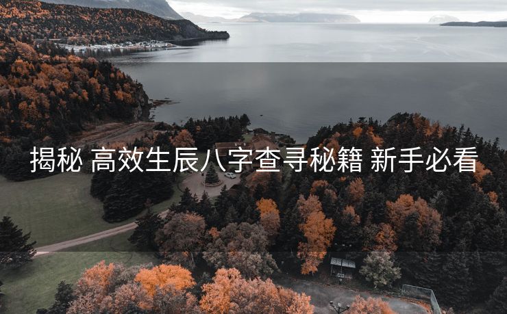 揭秘 高效生辰八字查寻秘籍 新手必看