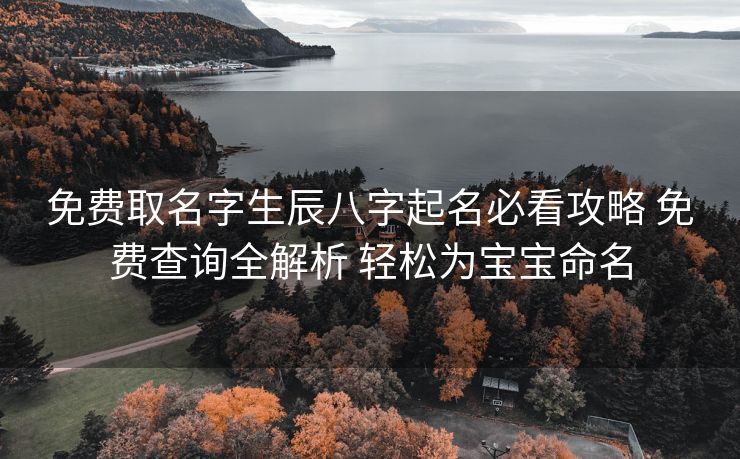 免费取名字生辰八字起名必看攻略 免费查询全解析 轻松为宝宝命名