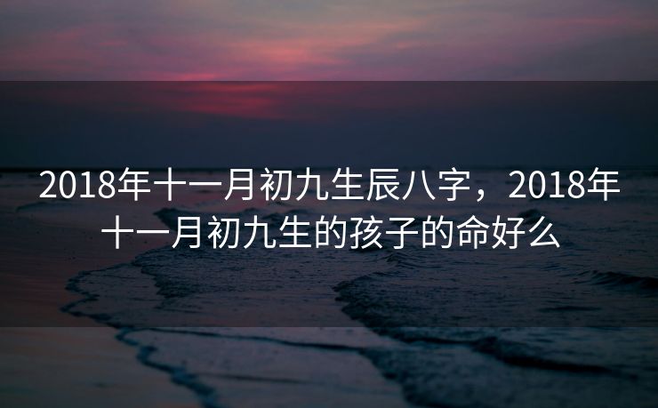 2018年十一月初九生辰八字，2018年十一月初九生的孩子的命好么