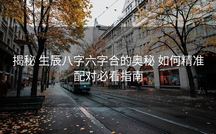 揭秘 生辰八字六字合的奥秘 如何精准配对必看指南