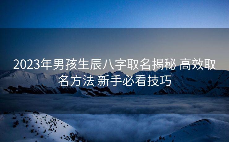 2023年男孩生辰八字取名揭秘 高效取名方法 新手必看技巧