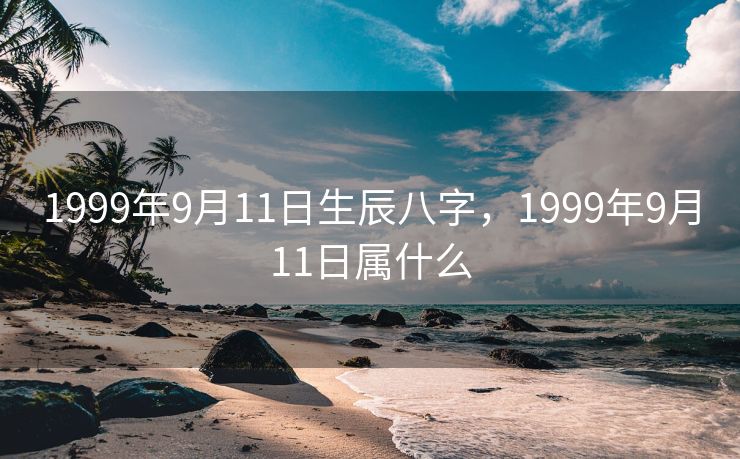1999年9月11日生辰八字，1999年9月11日属什么