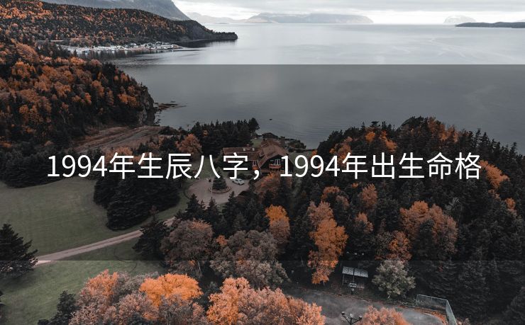 1994年生辰八字，1994年出生命格