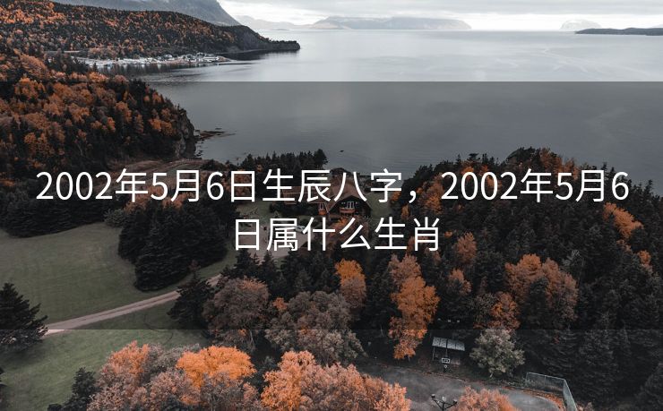 2002年5月6日生辰八字，2002年5月6日属什么生肖