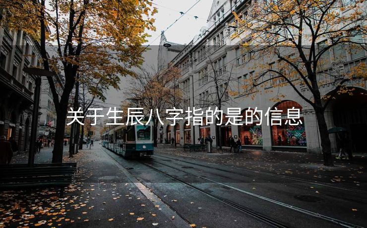 关于生辰八字指的是的信息