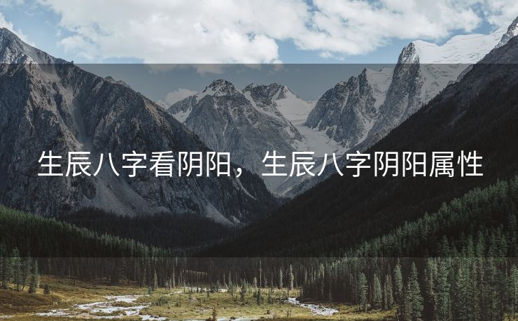 生辰八字看阴阳，生辰八字阴阳属性