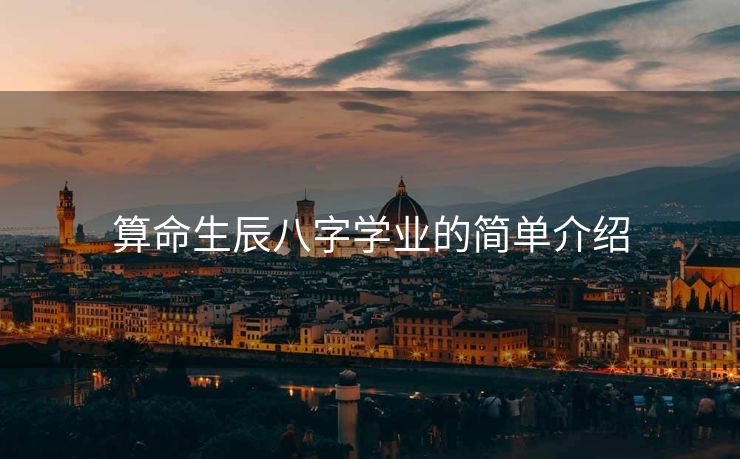 算命生辰八字学业的简单介绍