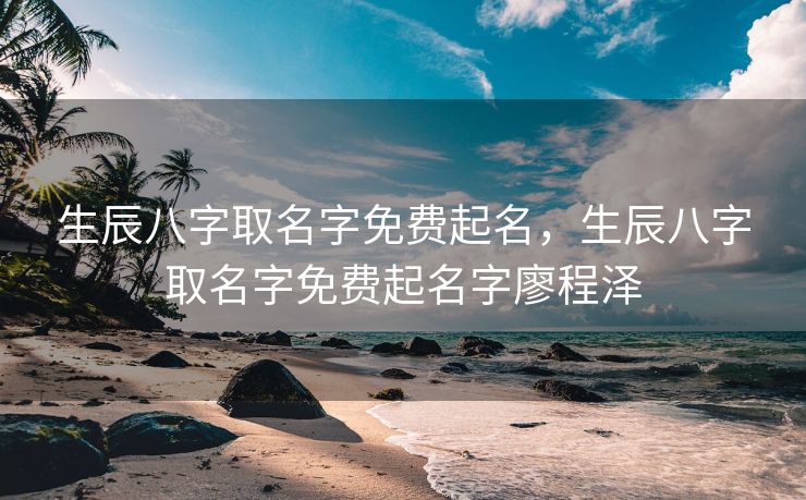 生辰八字取名字免费起名，生辰八字取名字免费起名字廖程泽