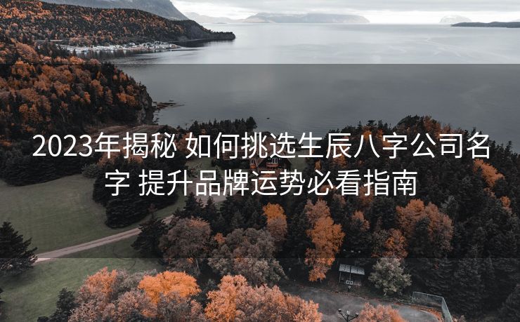 2023年揭秘 如何挑选生辰八字公司名字 提升品牌运势必看指南