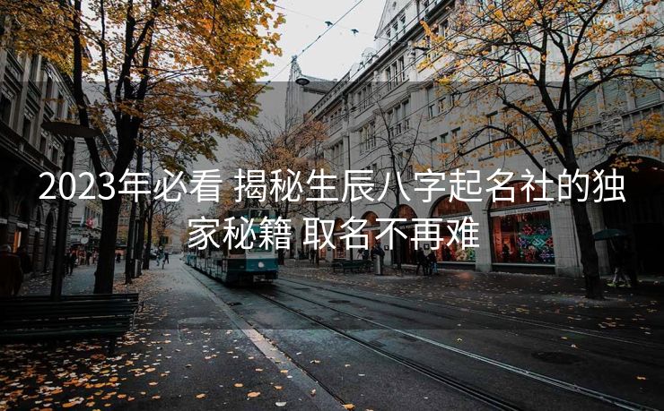 2023年必看 揭秘生辰八字起名社的独家秘籍 取名不再难