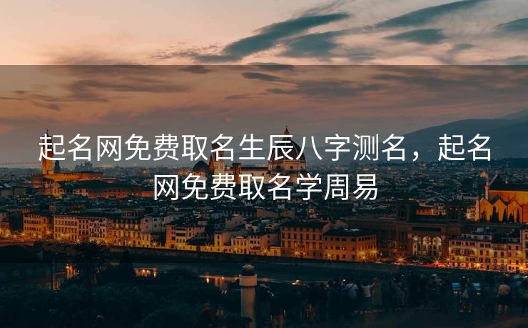 起名网免费取名生辰八字测名，起名网免费取名学周易