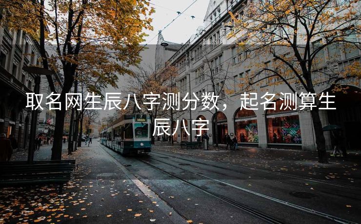 取名网生辰八字测分数，起名测算生辰八字