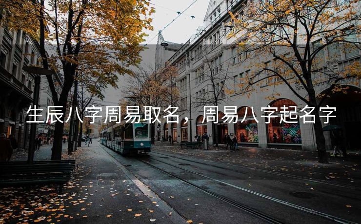 生辰八字周易取名，周易八字起名字