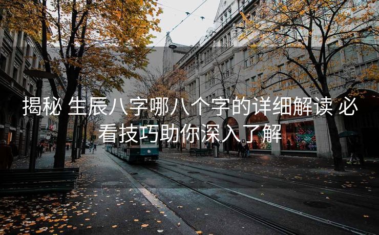 揭秘 生辰八字哪八个字的详细解读 必看技巧助你深入了解