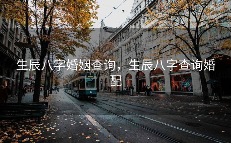 生辰八字婚姻查询，生辰八字查询婚配