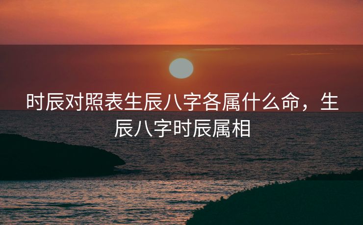 时辰对照表生辰八字各属什么命，生辰八字时辰属相
