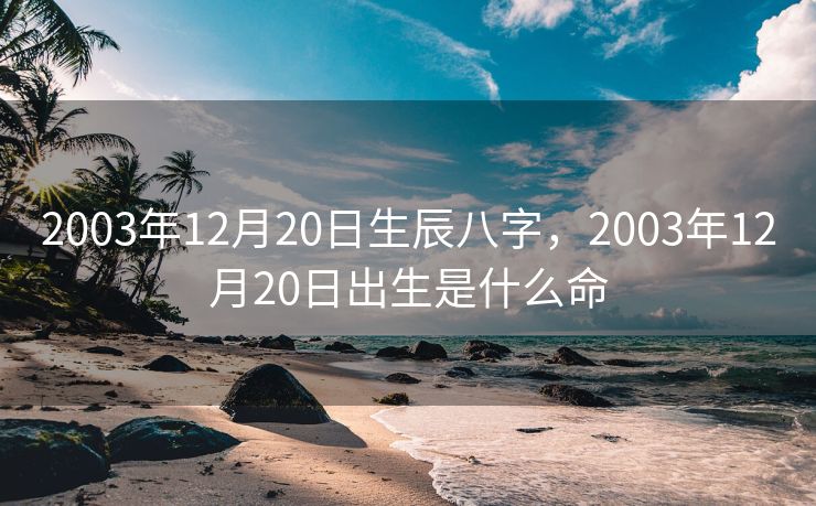 2003年12月20日生辰八字，2003年12月20日出生是什么命