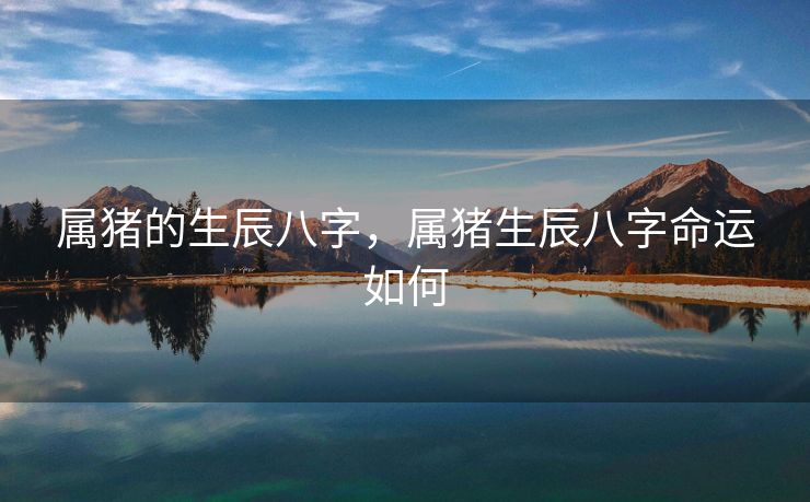 属猪的生辰八字，属猪生辰八字命运如何