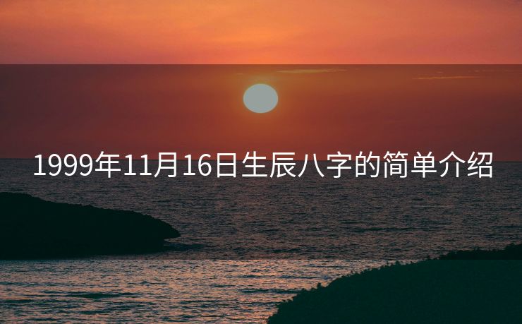 1999年11月16日生辰八字的简单介绍
