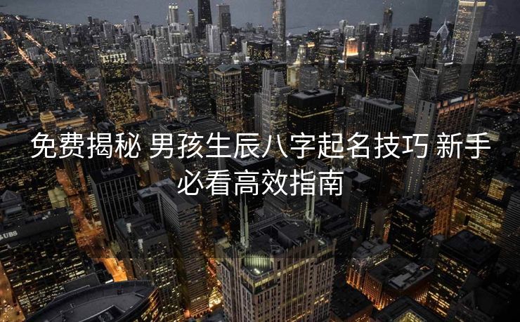 免费揭秘 男孩生辰八字起名技巧 新手必看高效指南