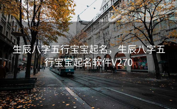 生辰八字五行宝宝起名，生辰八字五行宝宝起名软件V270