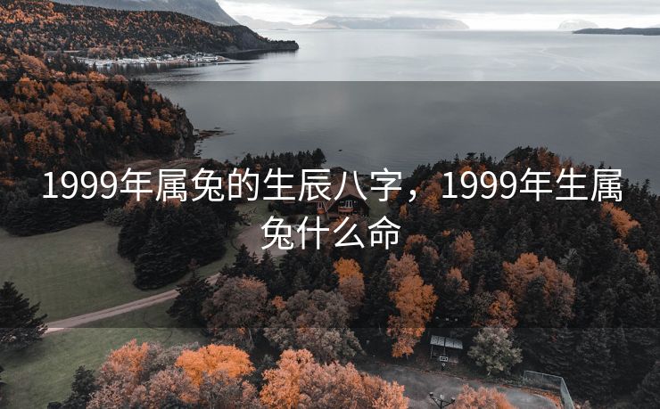 1999年属兔的生辰八字，1999年生属兔什么命