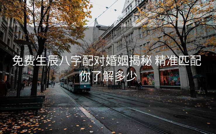 免费生辰八字配对婚姻揭秘 精准匹配 你了解多少