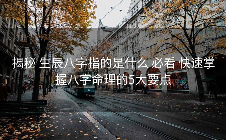 揭秘 生辰八字指的是什么 必看 快速掌握八字命理的5大要点