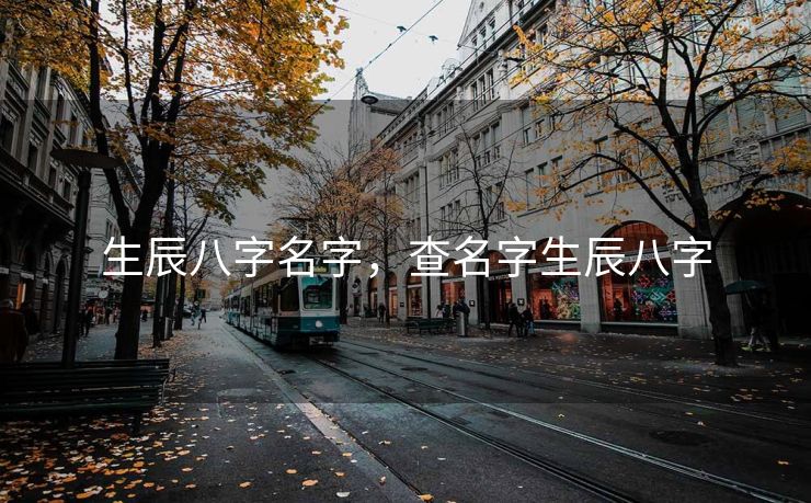 生辰八字名字，查名字生辰八字