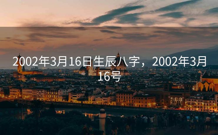 2002年3月16日生辰八字，2002年3月16号