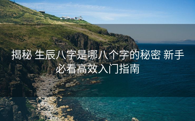 揭秘 生辰八字是哪八个字的秘密 新手必看高效入门指南