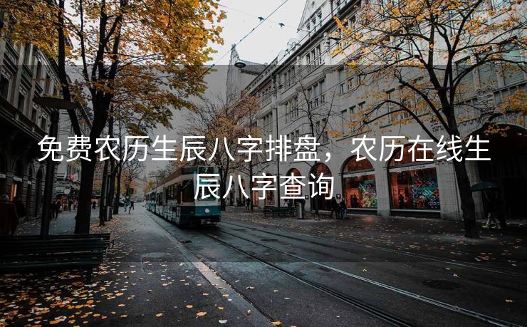 免费农历生辰八字排盘，农历在线生辰八字查询